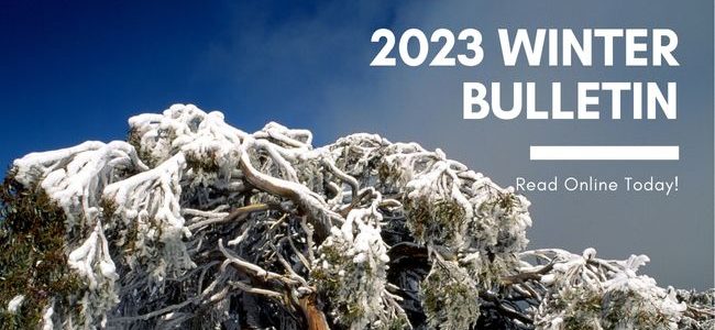 2023 Winter Bulletin